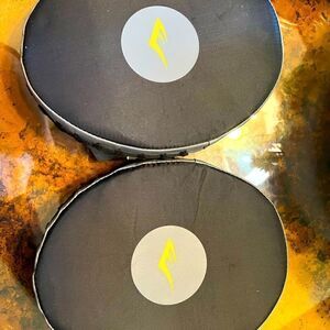 Everlast punch mitts 